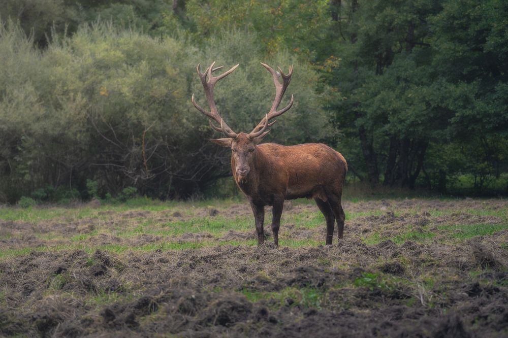 Photograph by Domenico Marrano