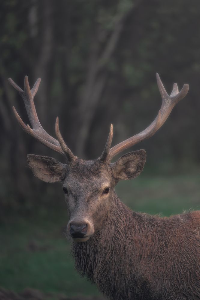 Photograph by Domenico Marrano