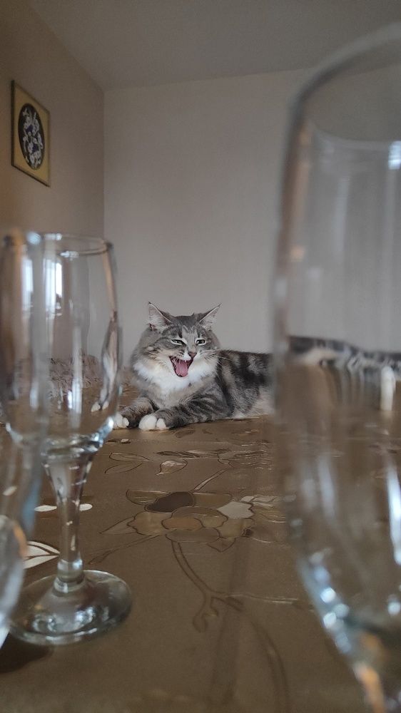 Photograph by Юрий Зильберборд