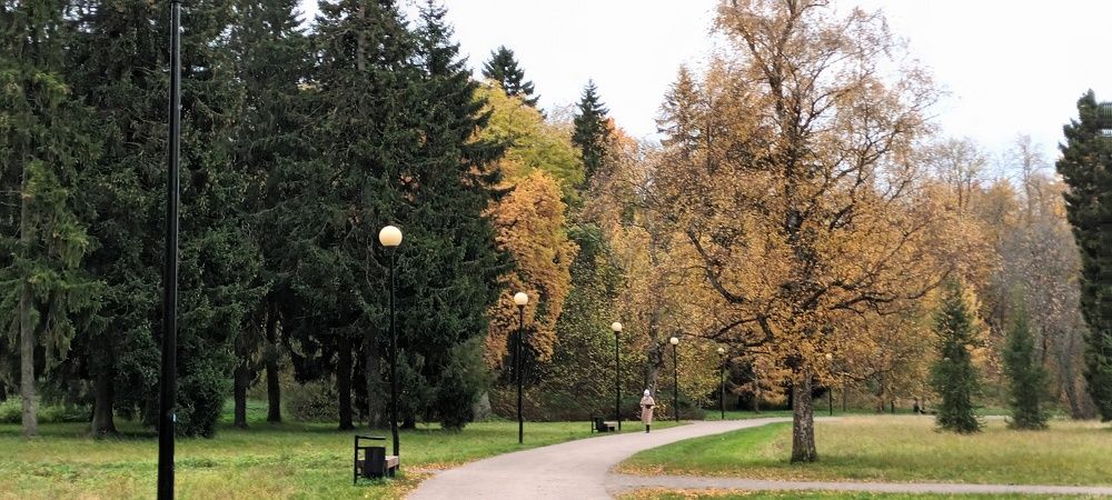 Photograph by Инна Демкив