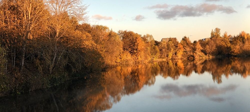 Photograph by Инна Демкив