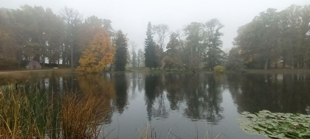 Photograph by Инна Демкив