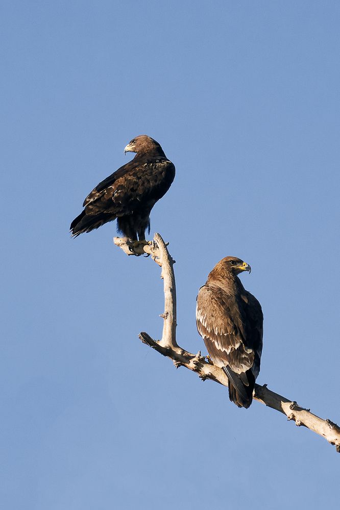 Photograph by Наталья Лабодина