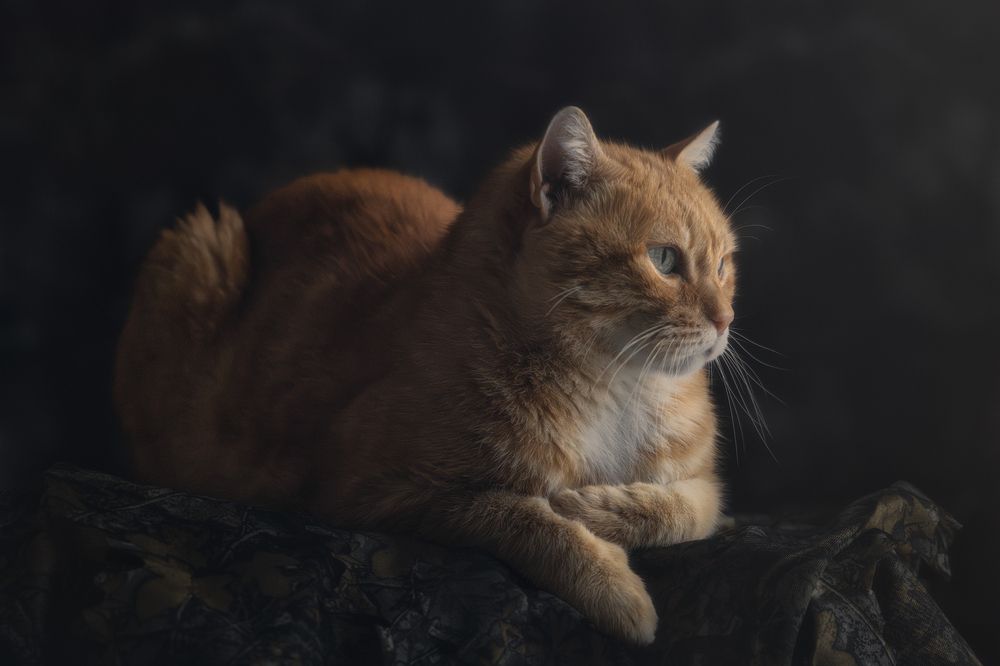 Photograph by Domenico Marrano