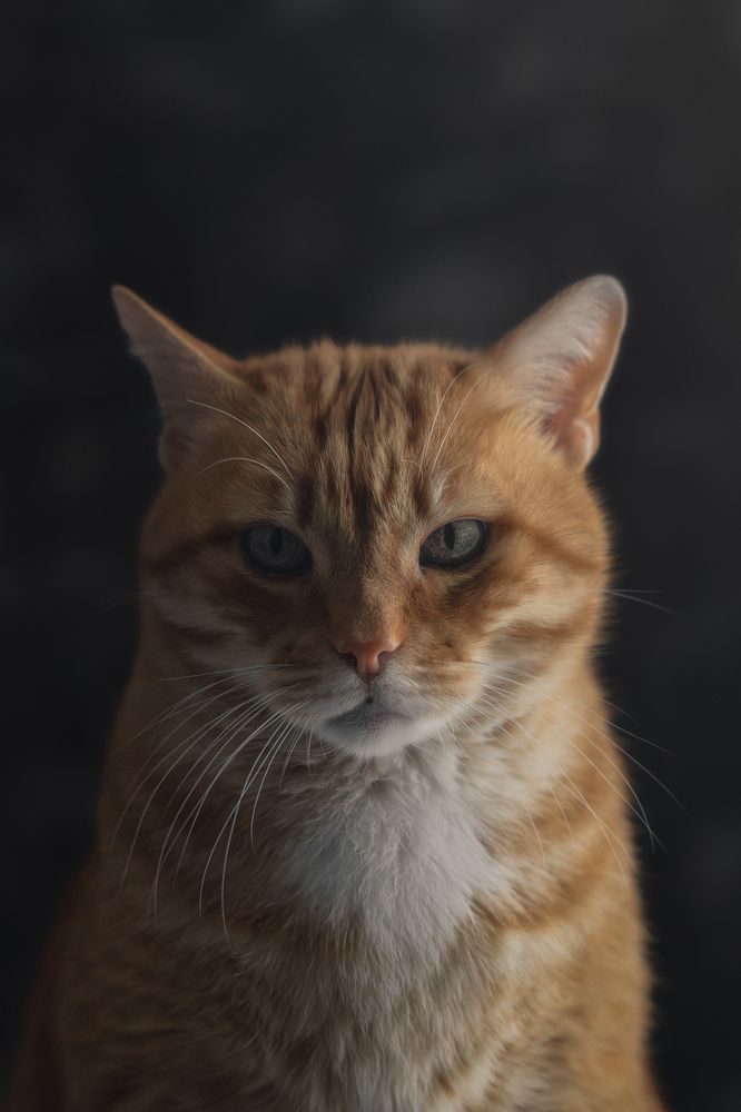 Photograph by Domenico Marrano