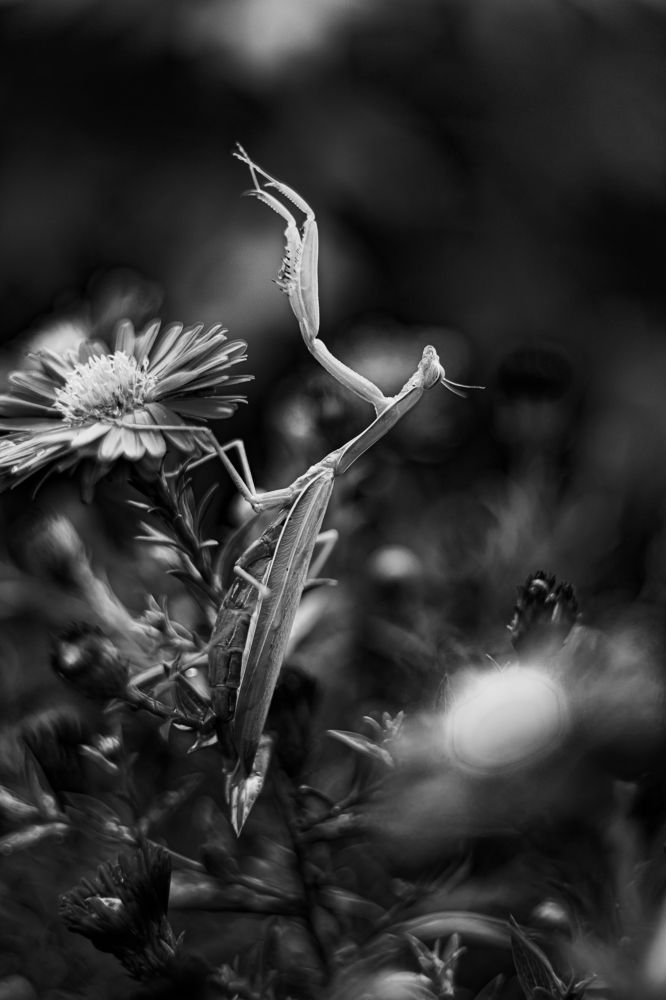 Фотография автора Ильченко Оксана