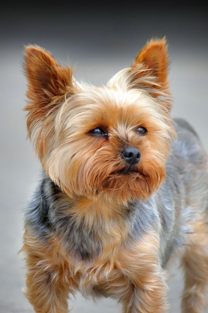 Photograph by Татьяна Бравая