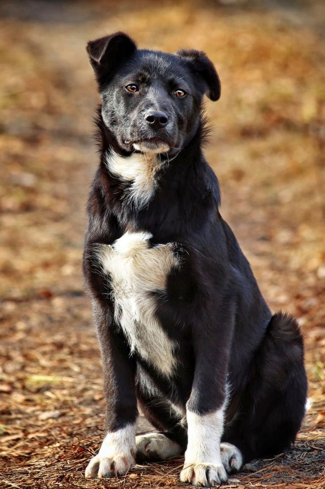 Photograph by Татьяна Бравая