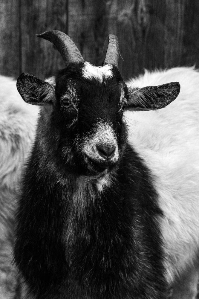 Photograph by Ольга Салтыкова