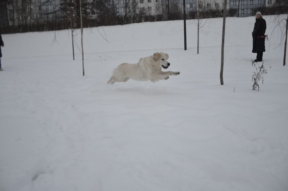 Фотография автора Алексей Власов