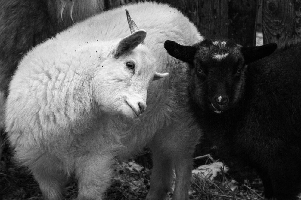 Photograph by Ольга Салтыкова