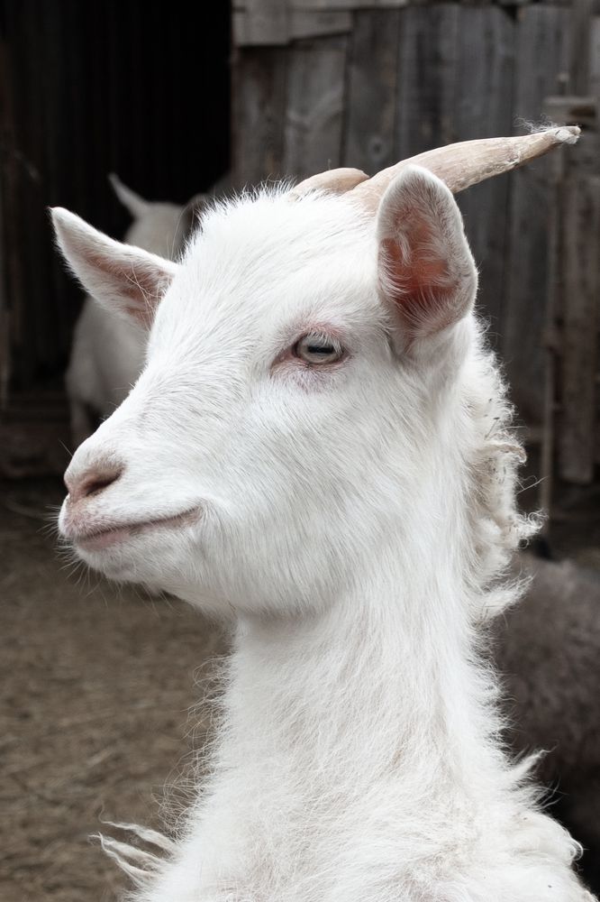 Photograph by Ольга Салтыкова