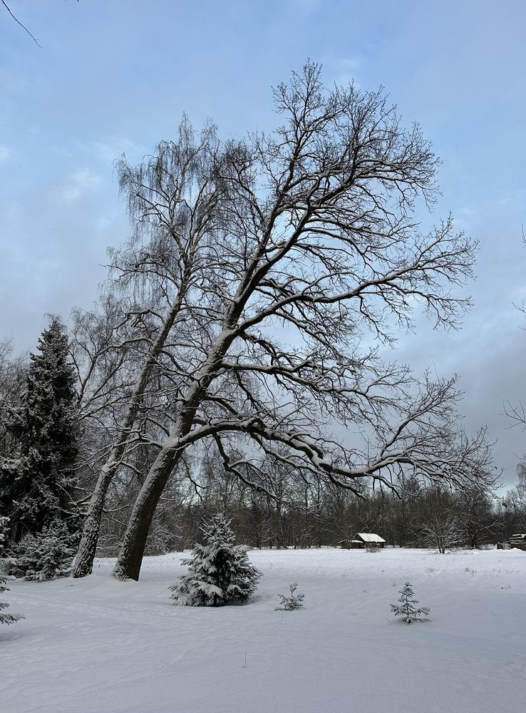 Photograph by Елена Станькова