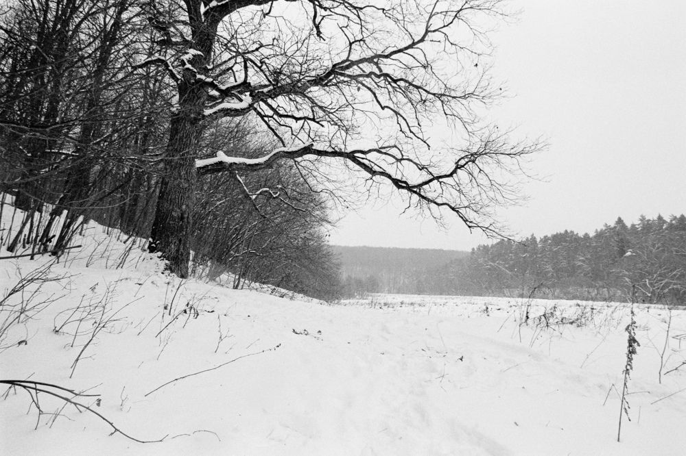 Photograph by Сергей Дивид