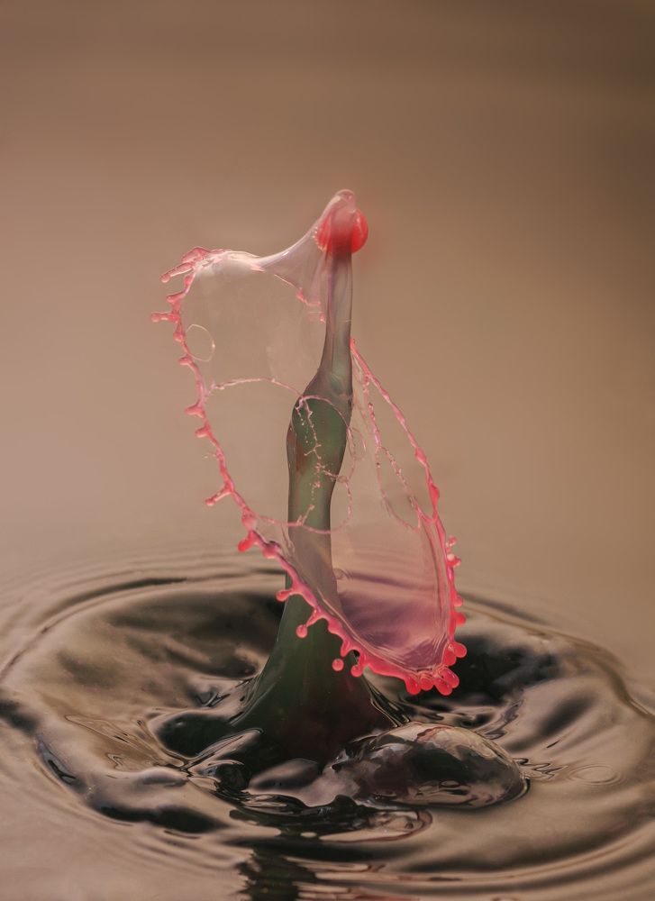 Photograph by Армашов-Тельник Григорий