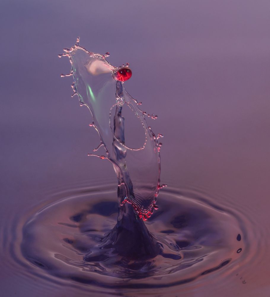 Photograph by Армашов-Тельник Григорий