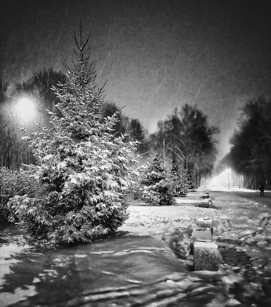 Photograph by Ольга Мартьянова