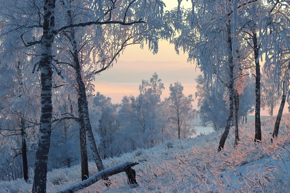 Закат в кружевных завитушках.