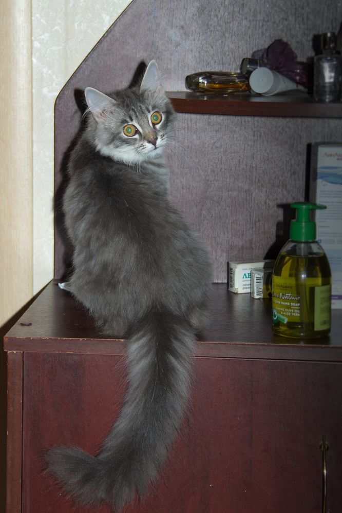 Photograph by Сергей Шистеров