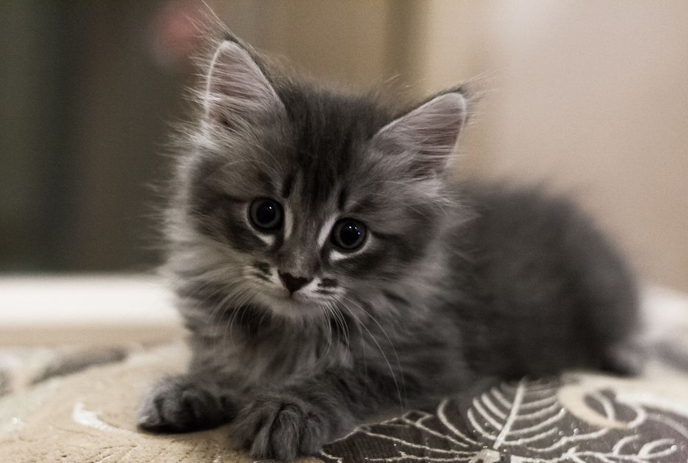 Photograph by Сергей Шистеров