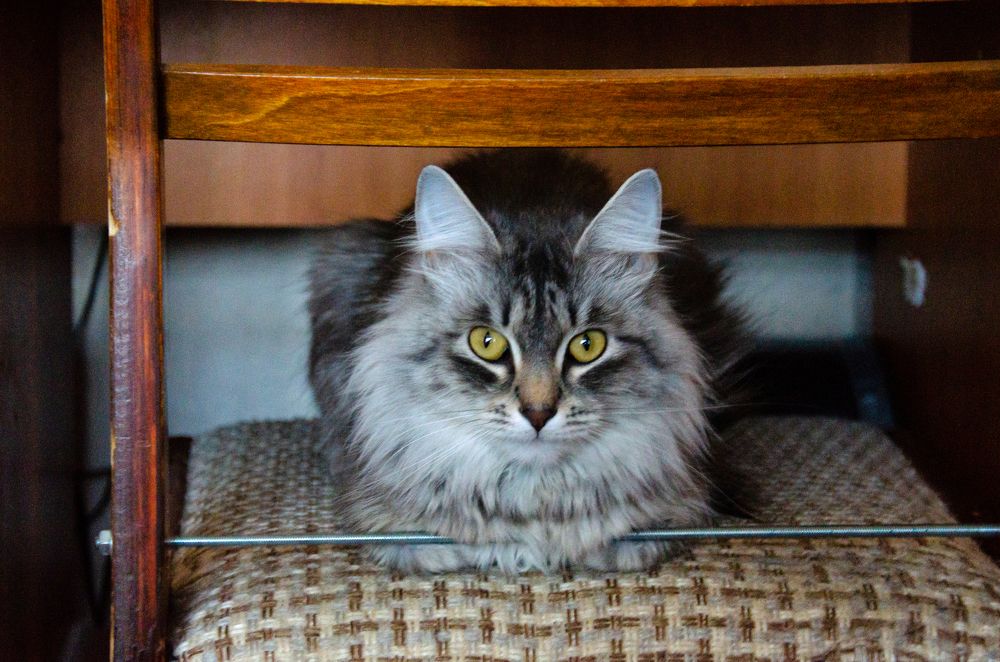 Photograph by Сергей Шистеров