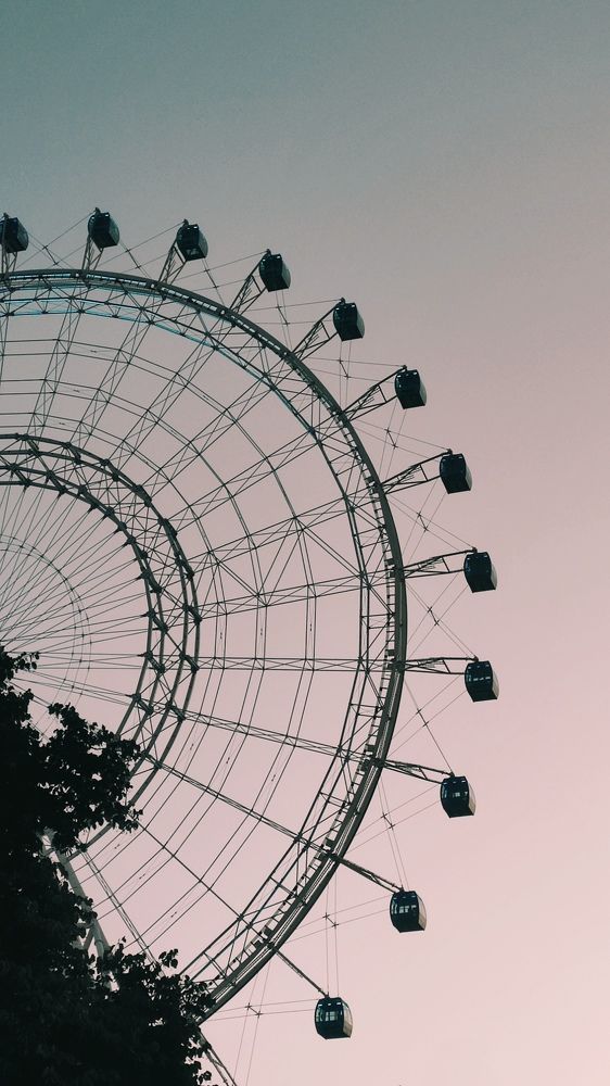 Колесо жизни