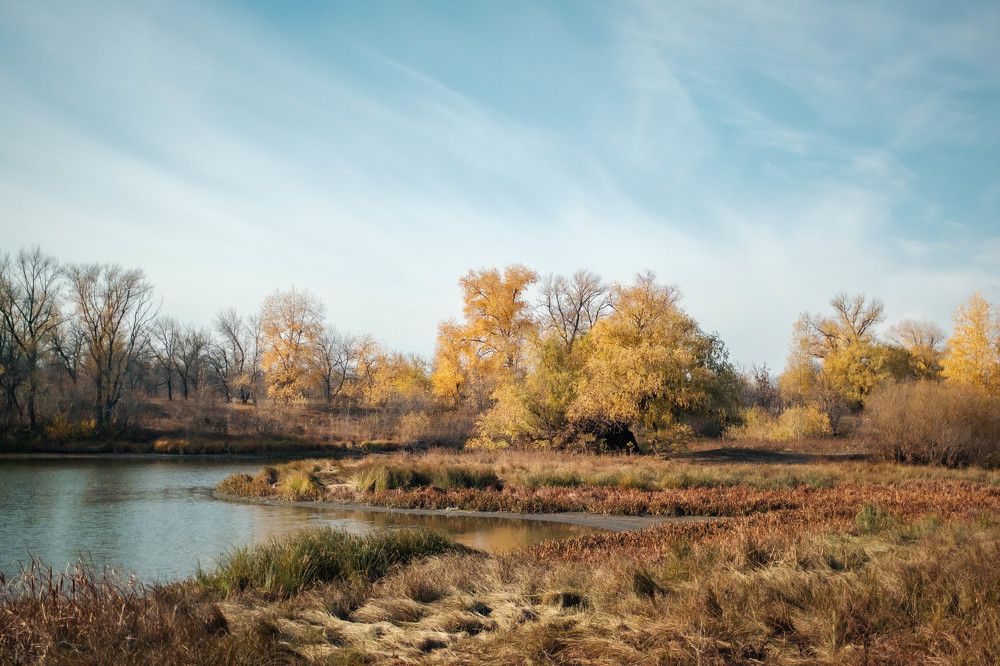 Photograph by Олег Дорошенко