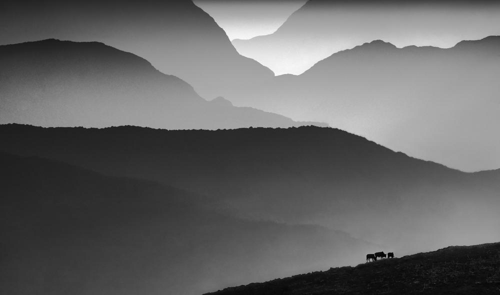 Photograph by Artin darvishi