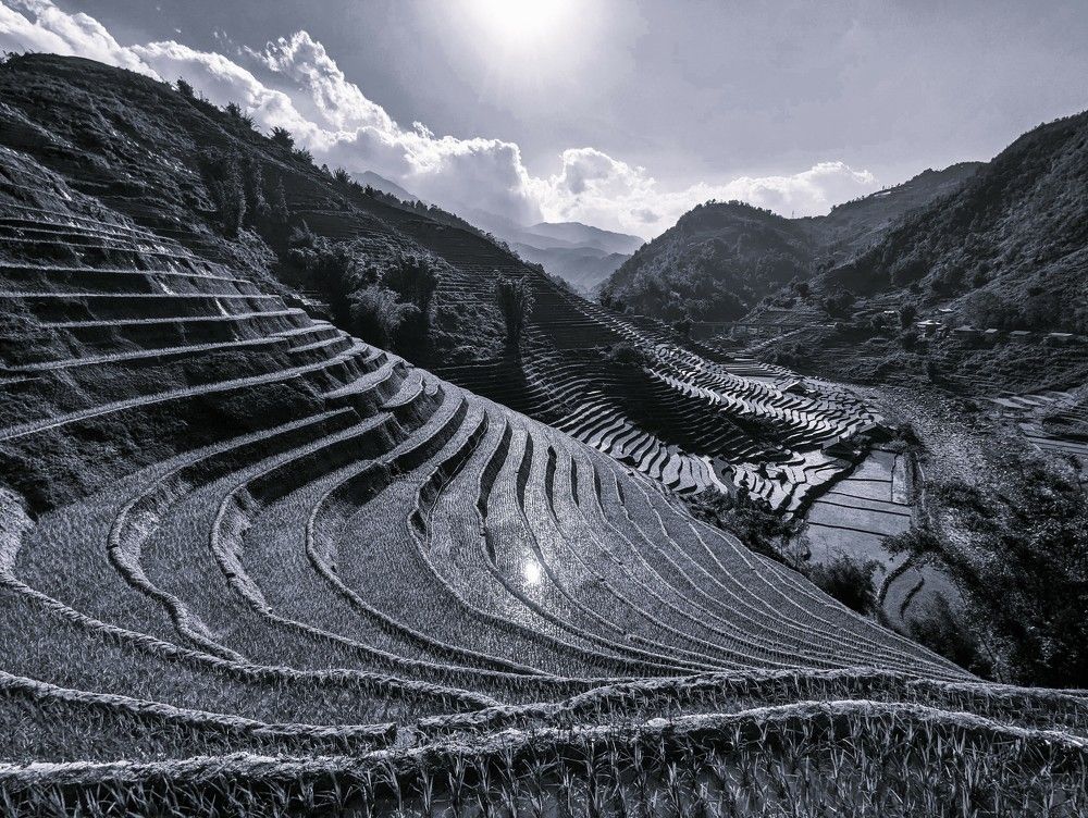 Photograph by Елизавета