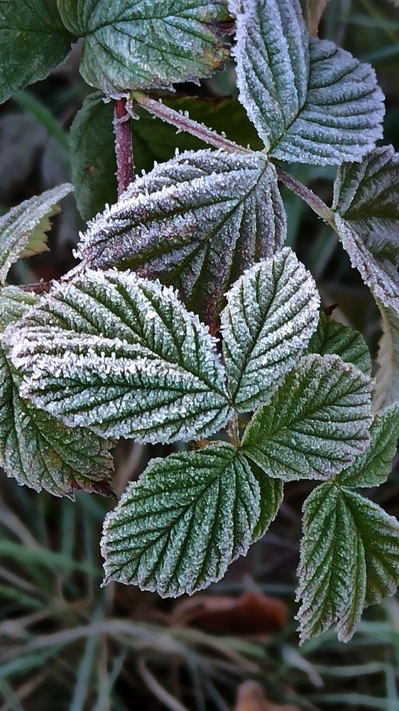 Photograph by Людмила Щуцкая