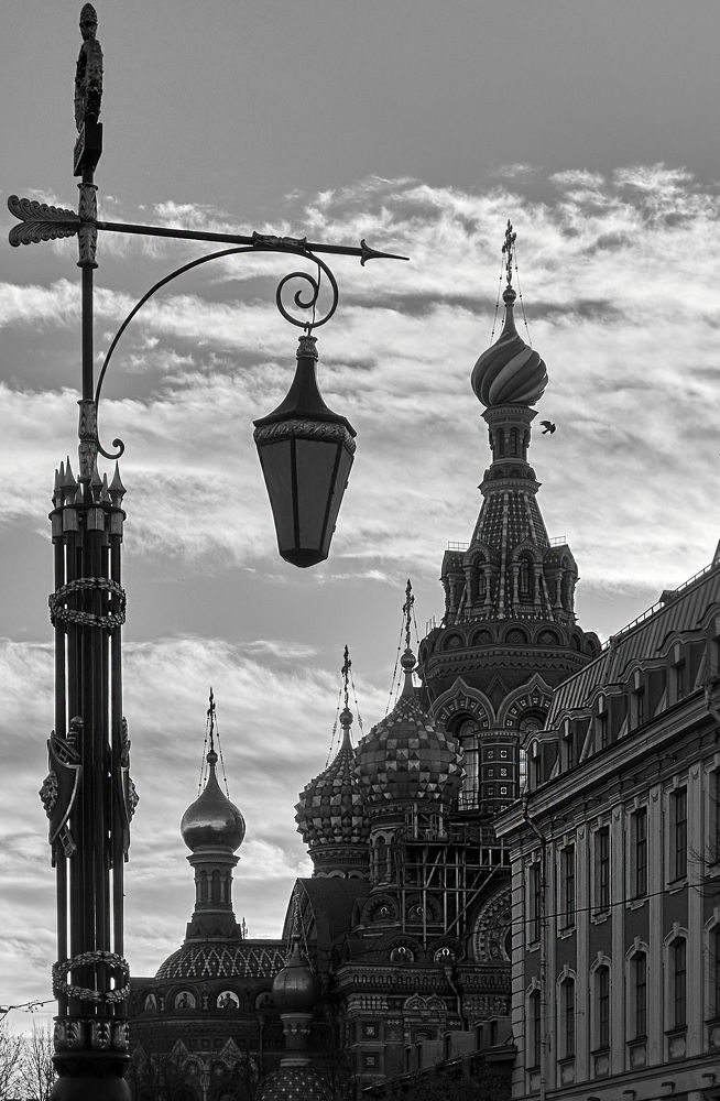 Фотография автора Харламова Валентина