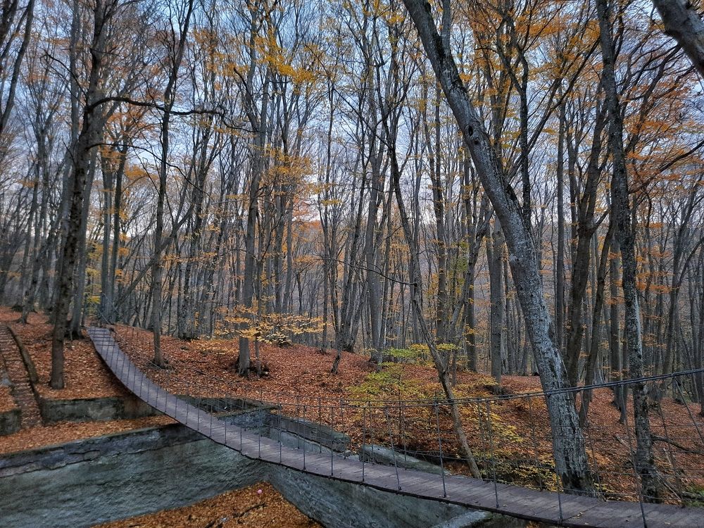 Photograph by Мария Кобыльченко