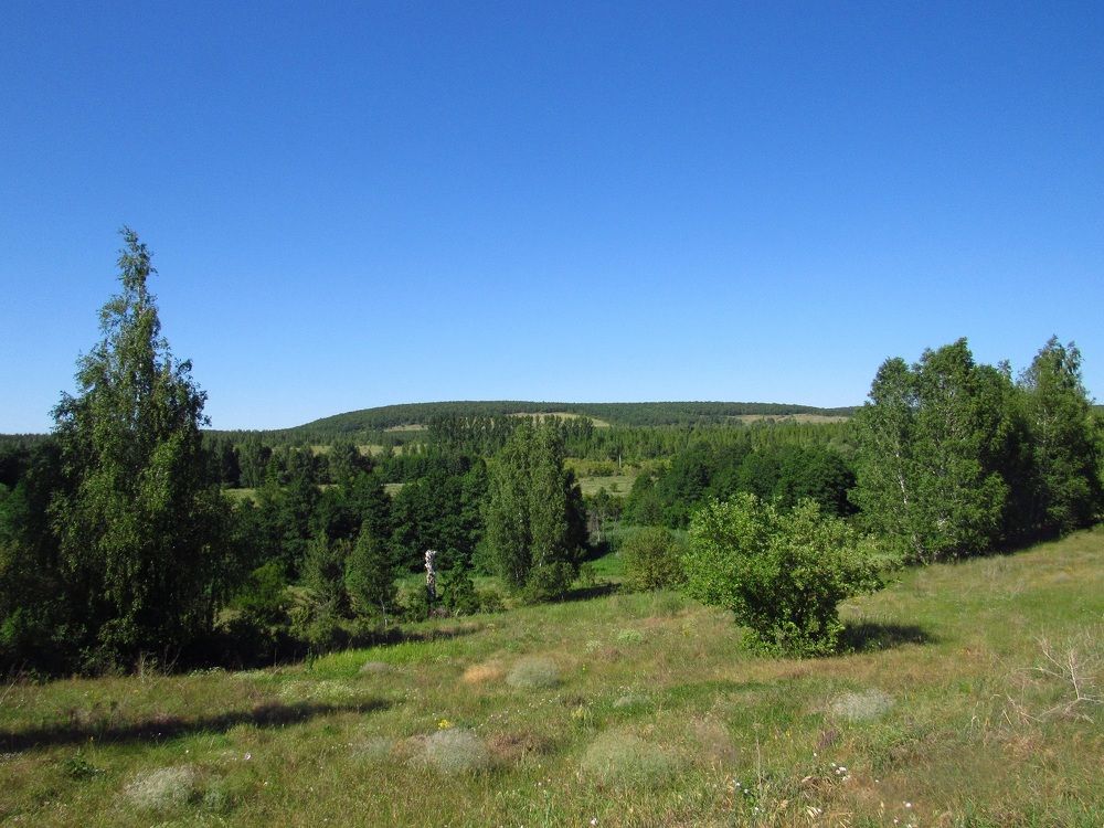 Photograph by Денис Веску