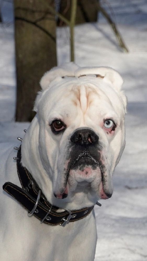 Photograph by Марина Безенкина