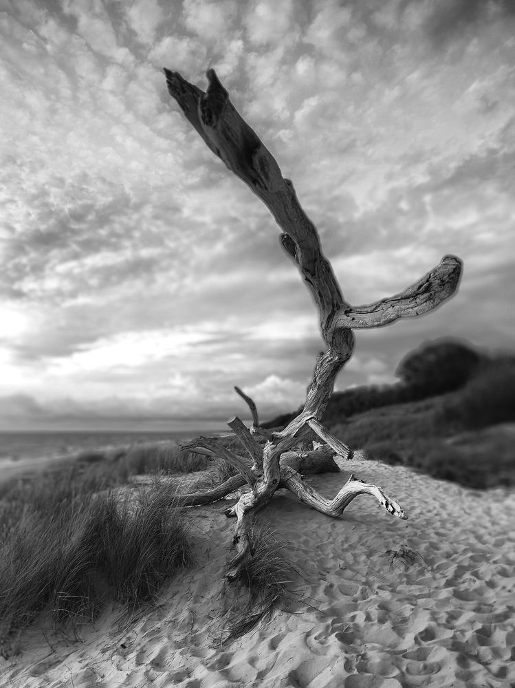 Photograph by Natalia Bolotenkova