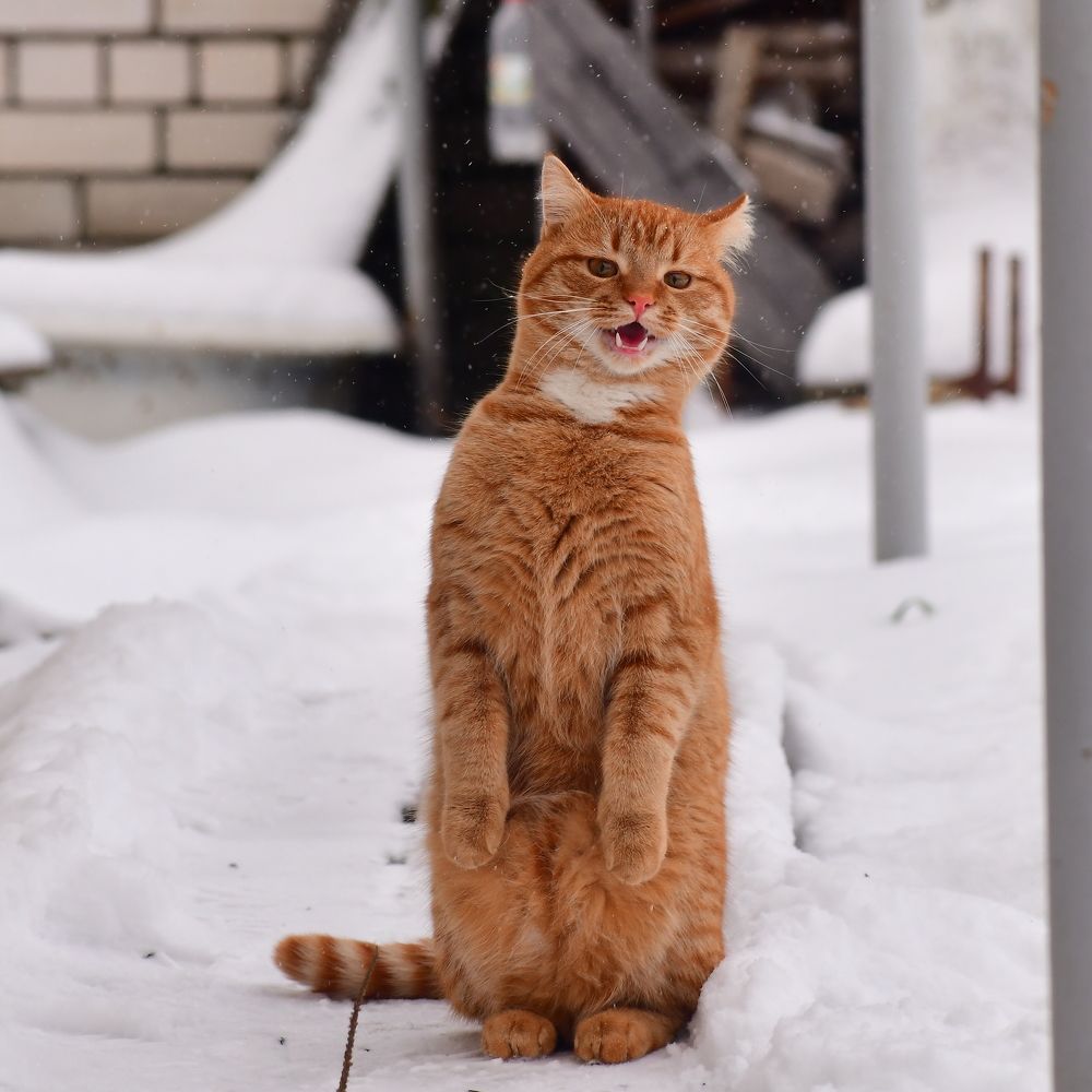 Photograph by Николай Абакумов