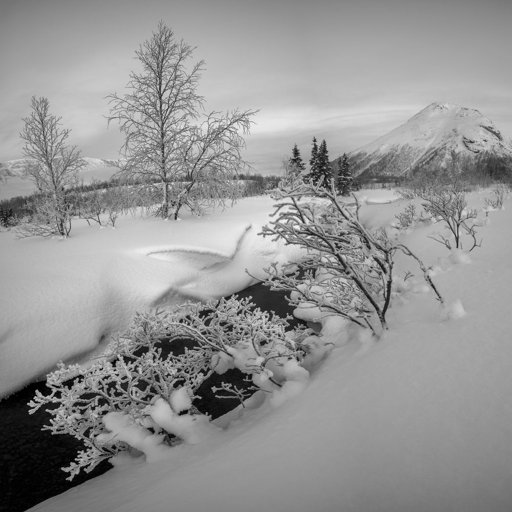 Фотография автора Анатолий Тумасьев