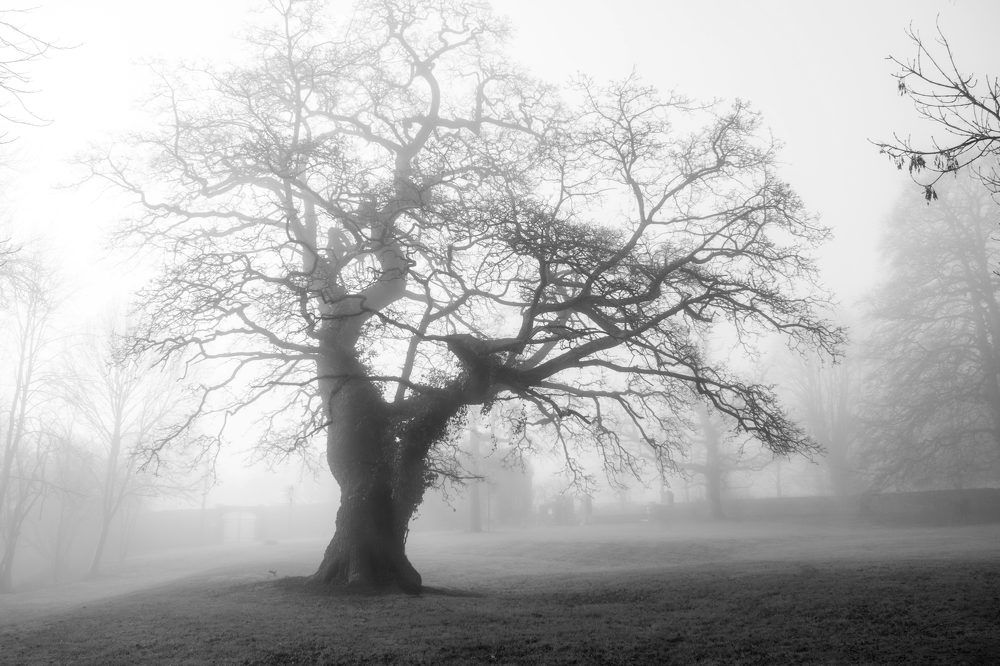 Photograph by Дьяченко Алёна