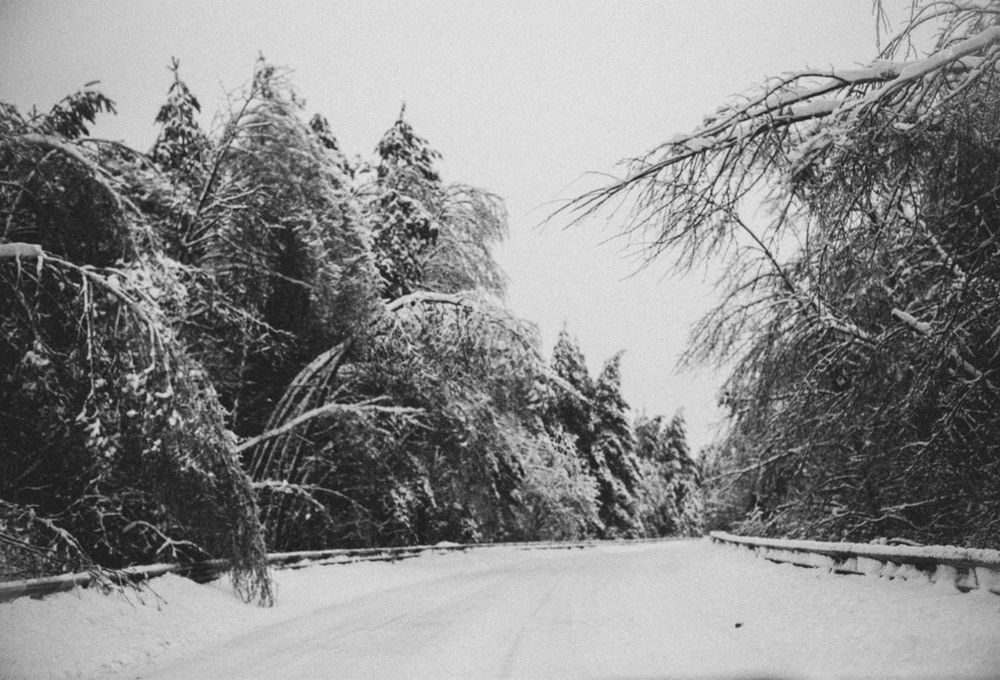 Photograph by Ирина Дьяченко