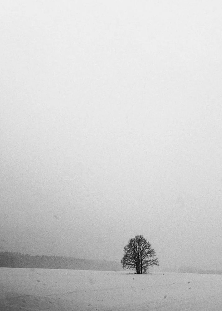 Photograph by Ирина Дьяченко