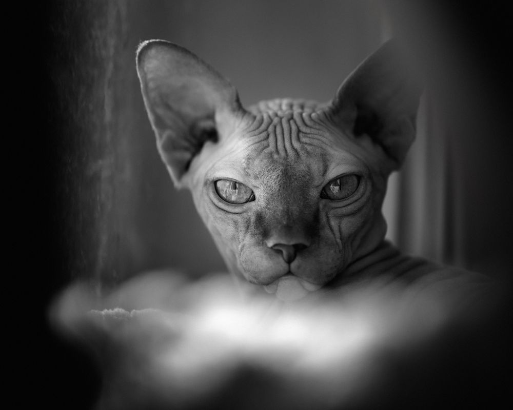 Фотография автора Pavel Tsimashenka