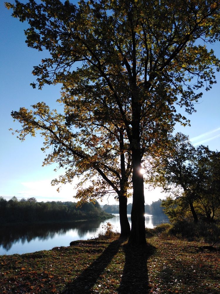 Photograph by Пётр Соколов