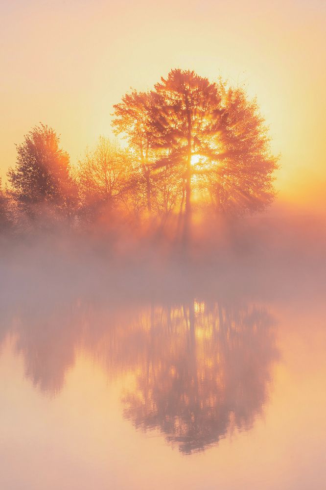 Photograph by Евгений Гонтов