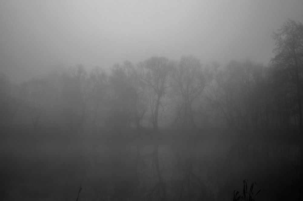 Photograph by Валерий Зенович