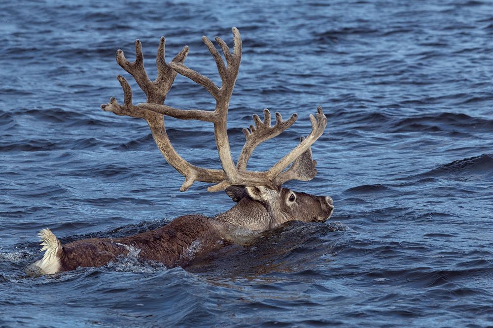 Photograph by Сергей Карпухин