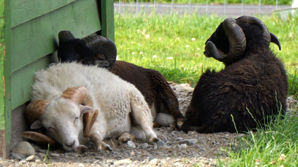 Photograph by Блюмина Елена