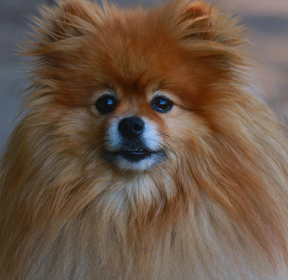 Photograph by Гагик Саркисян