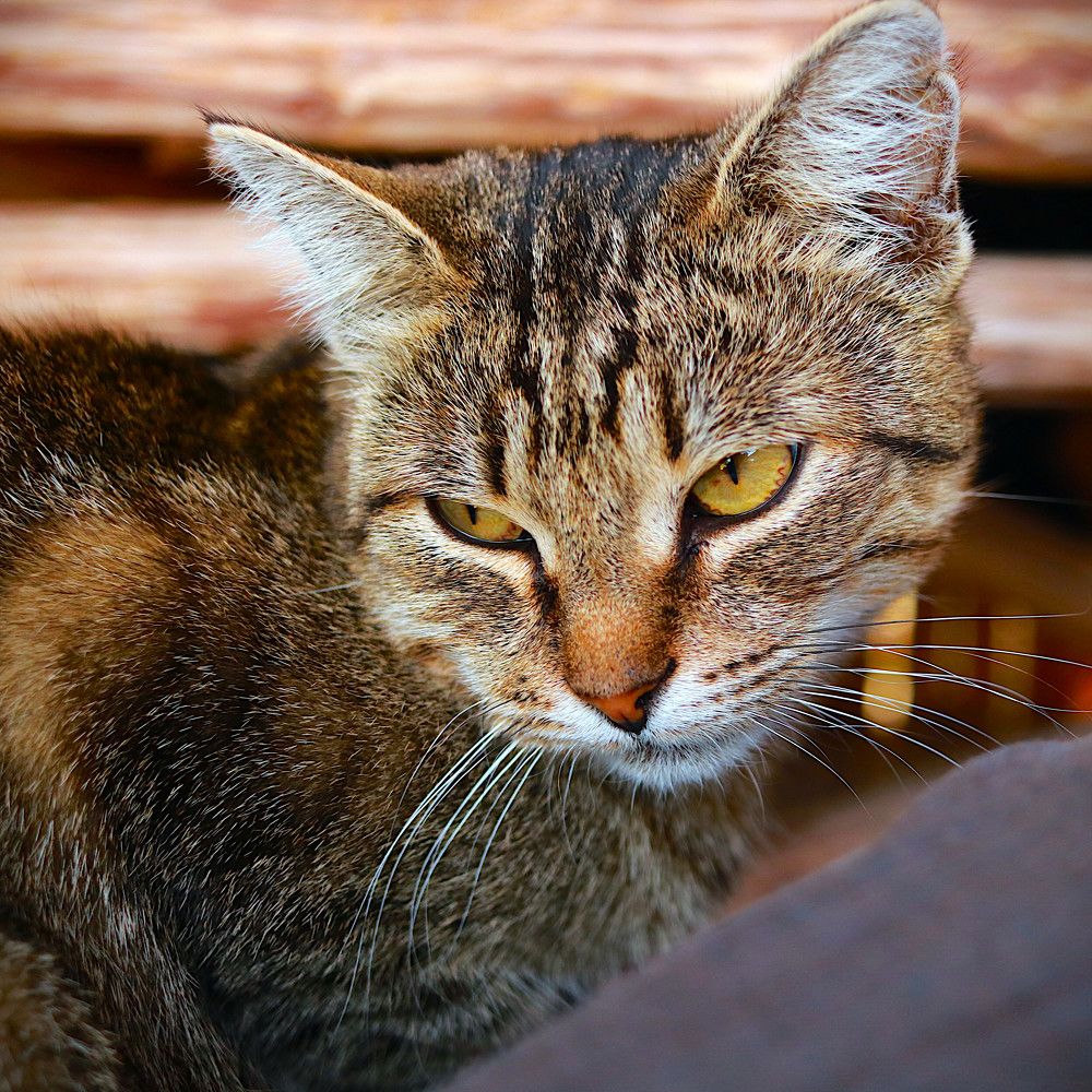 Photograph by Гагик Саркисян