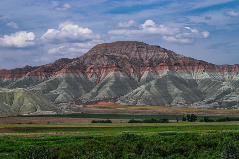 Photograph by sezai özaltın