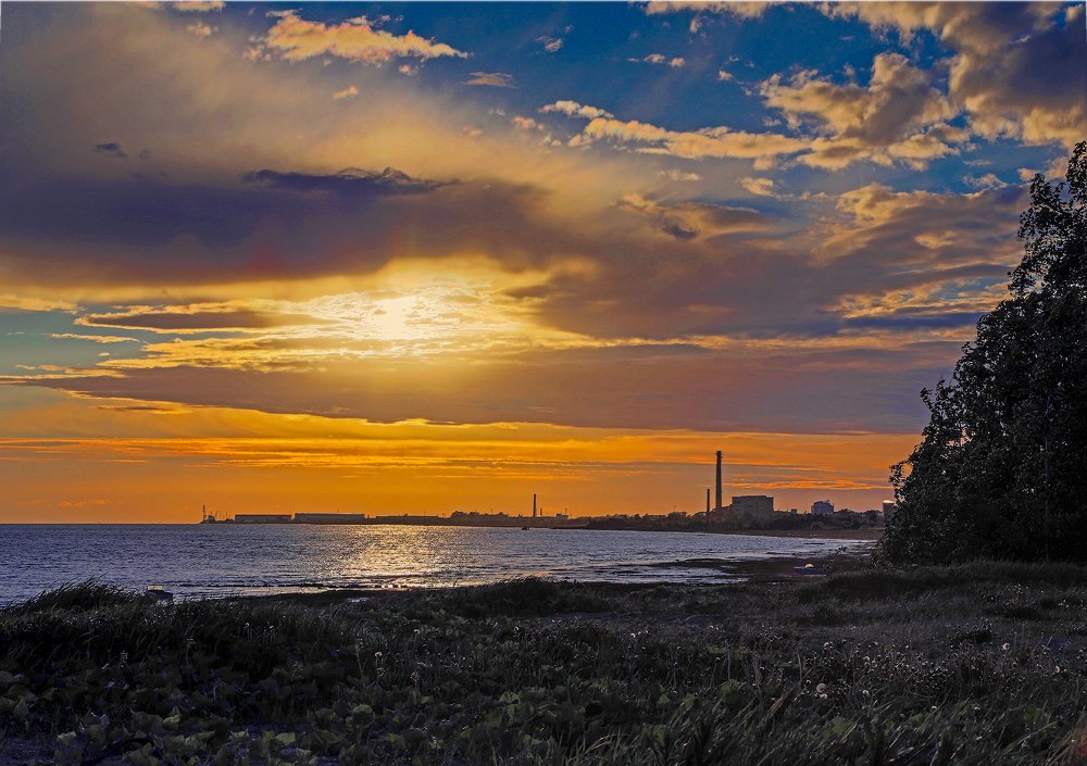 Онежские берега